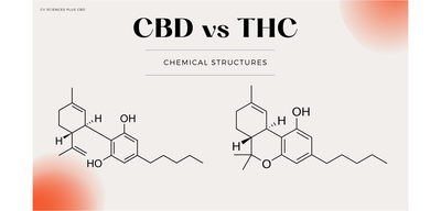CBD vs. THC: The Similarities & Differences